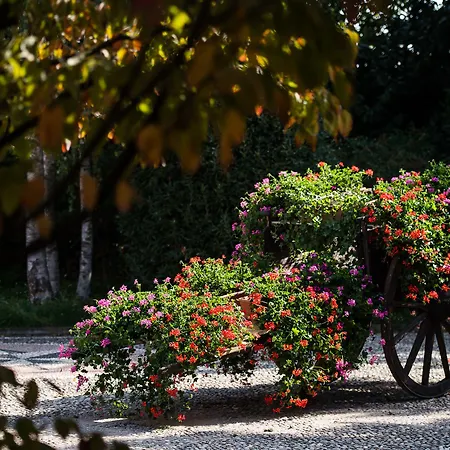 San Giacomo Horses & فندق مبيت وإفطار