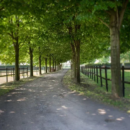 فندق مبيت وإفطار San Giacomo Horses & آرلونو